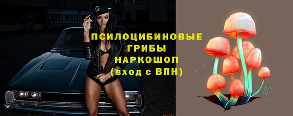 apvp Абаза